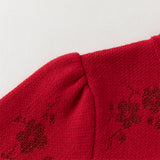Dave&Bella Toddler Girls Classic Chinese-style Turtle Cozy A-line Mesh Dress