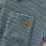 Dave&Bella Kids Boys Apricot/Blue/Purple College-style Shirts Tops