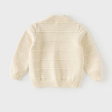 Dave&Bella Toddler Boys Blue/Beige Turtle Soft Cozy Cotton Simple Versatile Sweaters