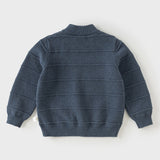 Dave&Bella Toddler Boys Blue/Beige Turtle Soft Cozy Cotton Simple Versatile Sweaters