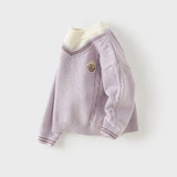 Dave&Bella Toddler Boys/Girls Blue/Purple Turtle Classic Cotton Cozy Soft Comfortable Sweaters