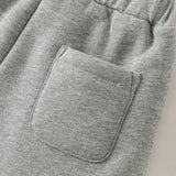Dave&Bela Toddler Boys Gray Simple Fleece Thickened Warm Cozy Jogger Pants