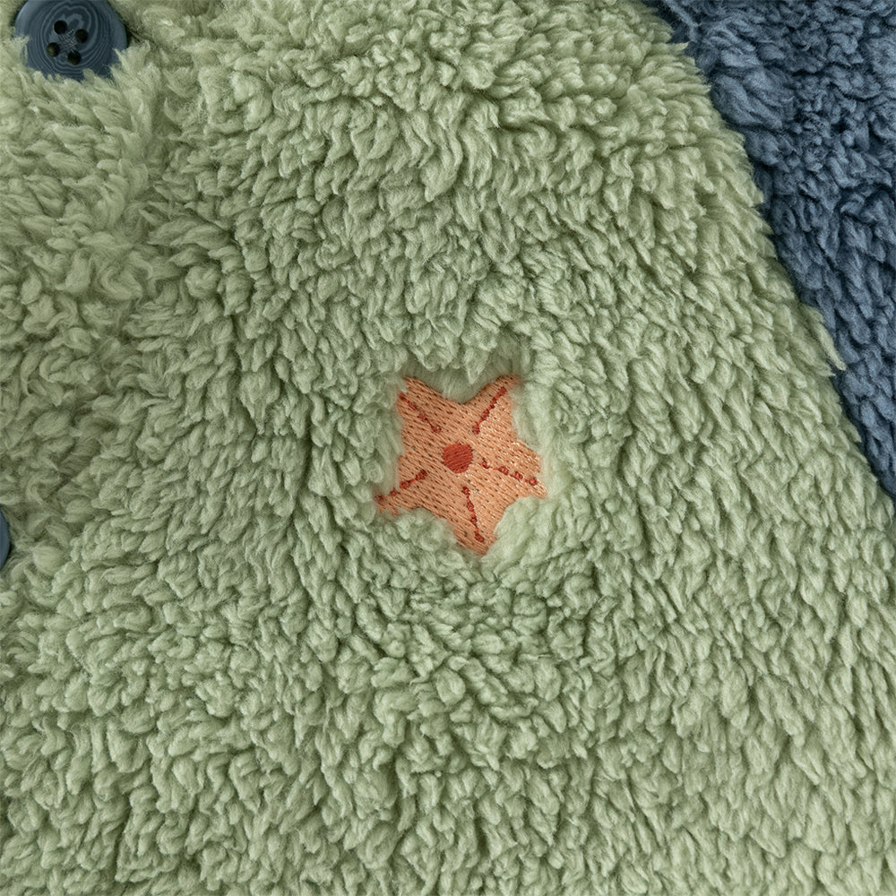 Slide image