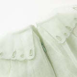 Dave&Bella Kids Girls Fresh Green Mesh Princess Dress(wallet bag)