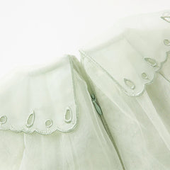 Dave&Bella Baby Girls Spring Mesh Princess Dress with Coin Wallet